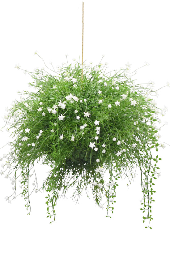 Hanging Babies Breath Foliage Ball 48cm