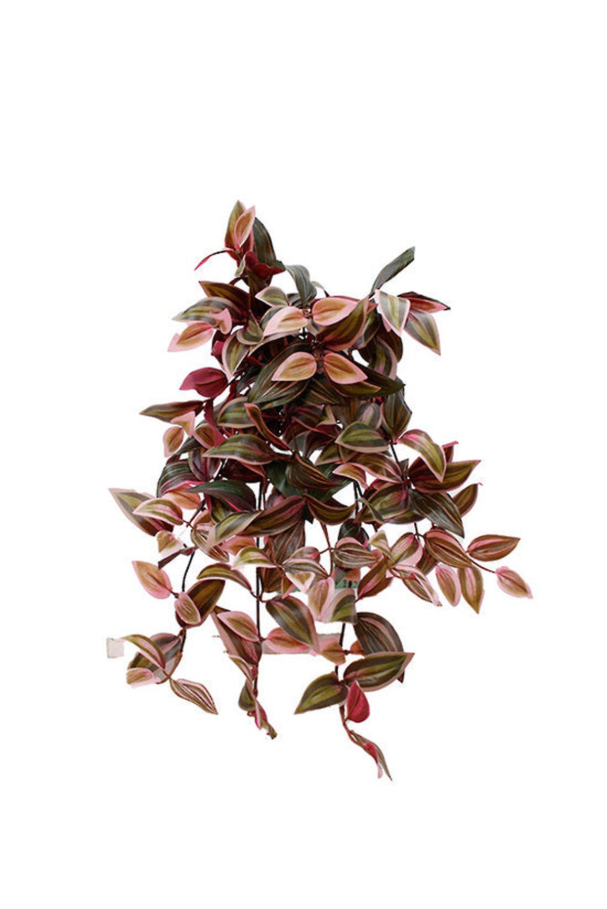 Wandering Dew Lilac faux hanging bush with purple and green striped leaves, on white