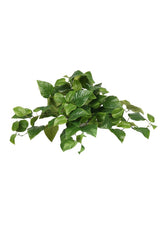 Pothos Bush 41cm – Artificial Greenery Plant