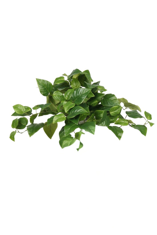 Pothos Bush 41cm – Artificial Greenery Plant