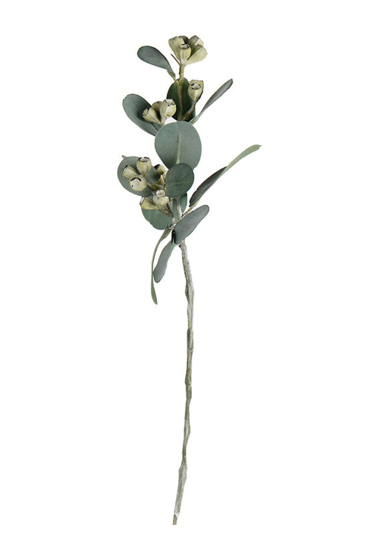 Mini eucalyptus pod spray, a faux stem of round leaves and clustered seed pods, on white