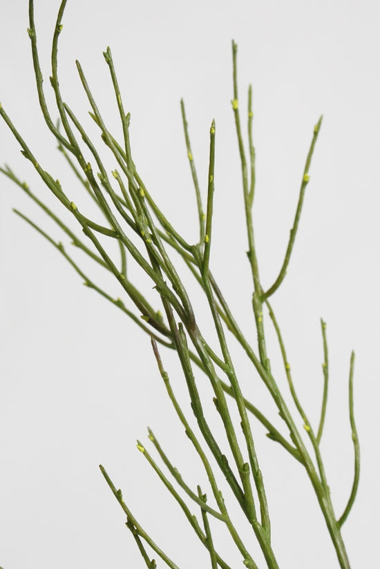 Saltmarsh Stem, 76cm Faux Botanical