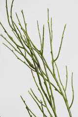 Saltmarsh Stem 76cm Faux Botanical