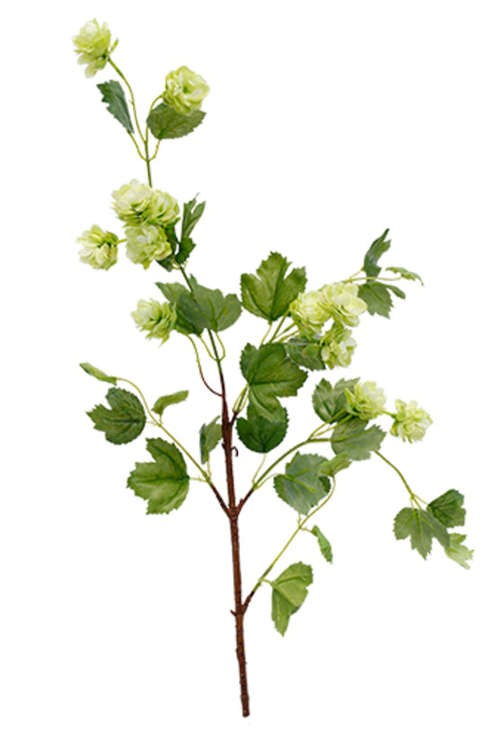 A Hops Spray Green of Artificial Flora on a white background.