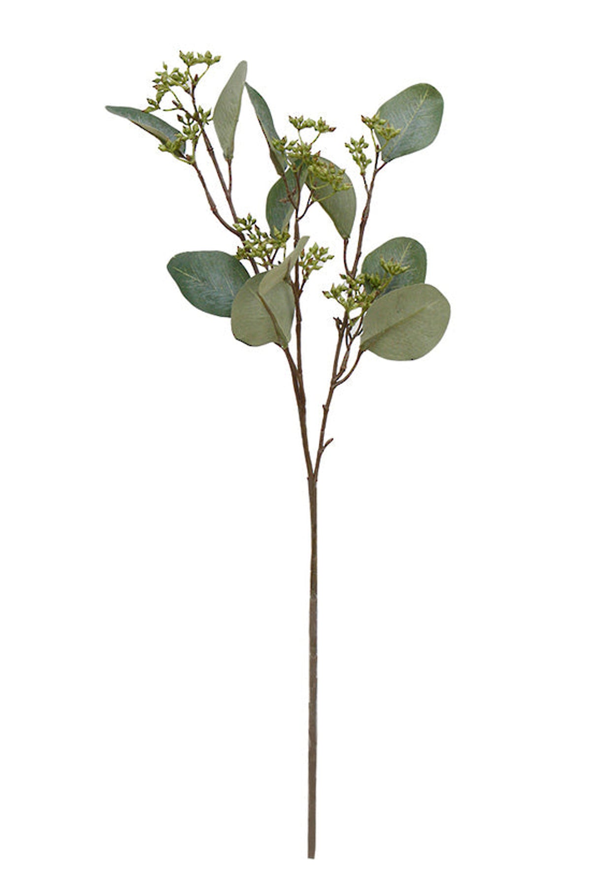 Gunni Eucalyptus faux stem with round grey-green leaves and seed clusters, on white