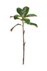 Magnolia Leaf Spray 59cm — Realistic Green Foliage Stem