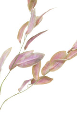 Pink eucalyptus leaves on a white background featuring Garden Sage Spray Green/Pink foliage sprays by Artificial Flora.