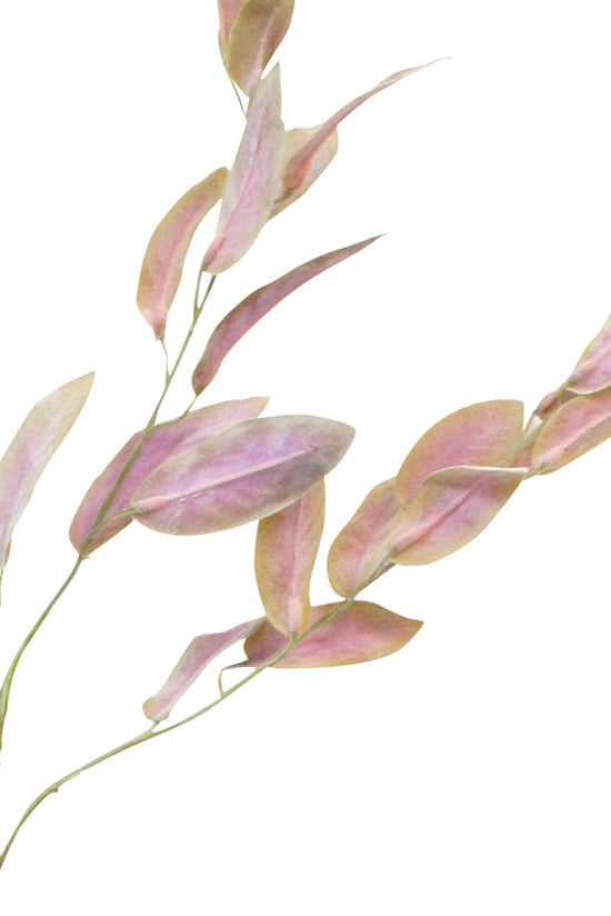 Pink eucalyptus leaves on a white background featuring Garden Sage Spray Green/Pink foliage sprays by Artificial Flora.