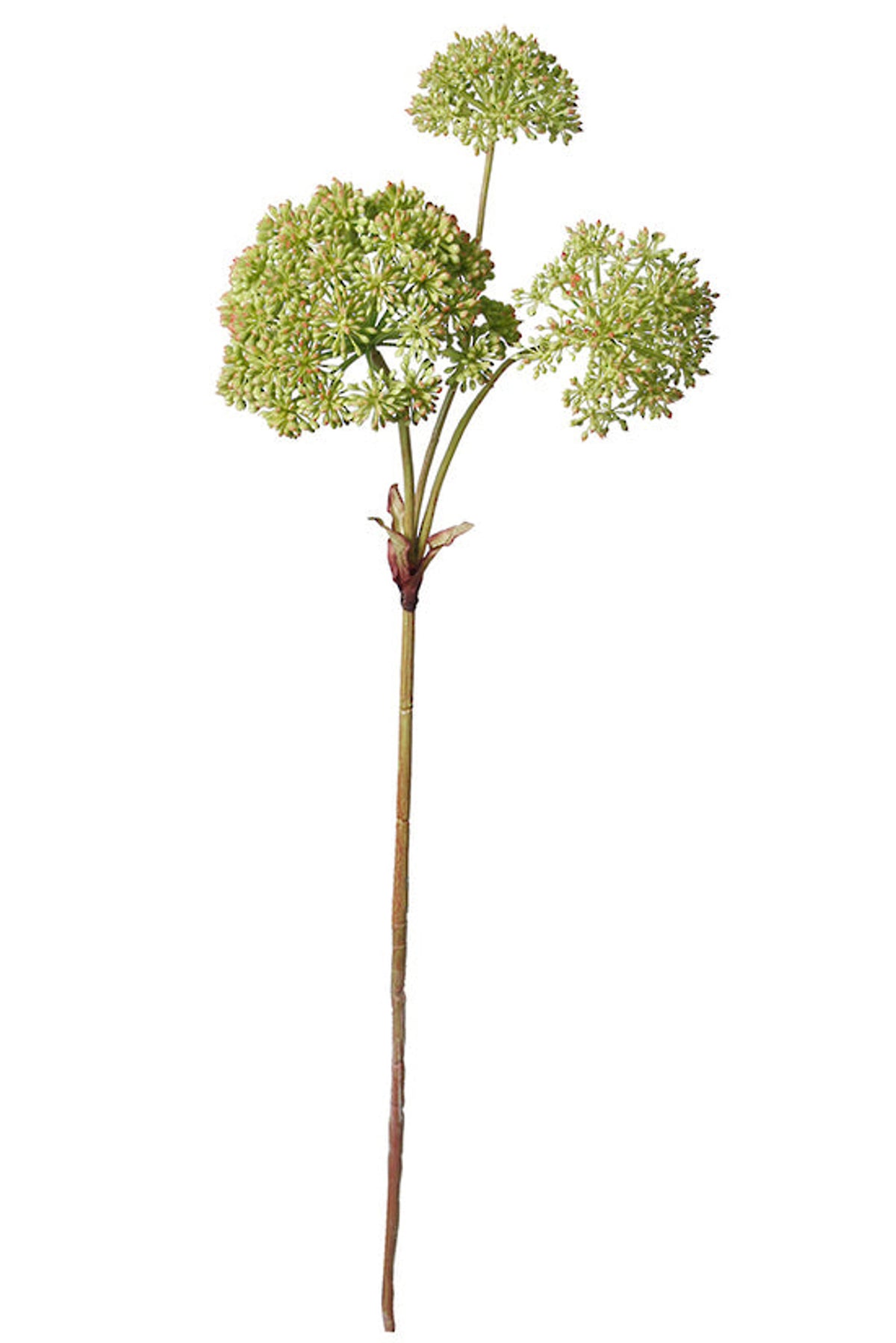 Faux sedum spray with three green flower heads, on white