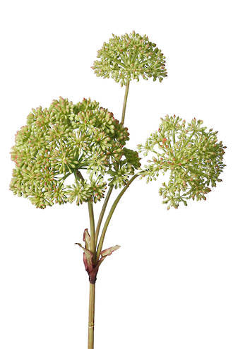 Sedum Pomona Spray, Faux Triple-Bloom Stem