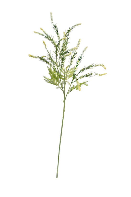 Setaria Spray, Cream 86cm Faux Grass Stem