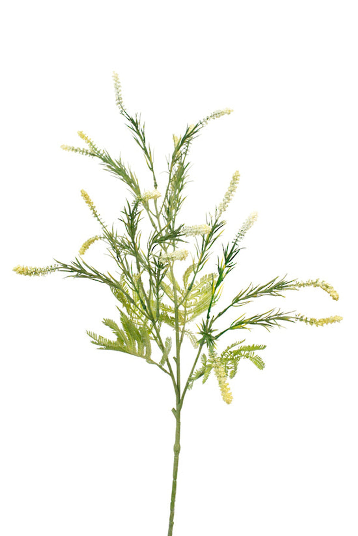 Faux setaria spray with cream grass tails on a green stem, on white