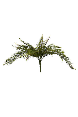 Forest Fern Bush 42.5cm