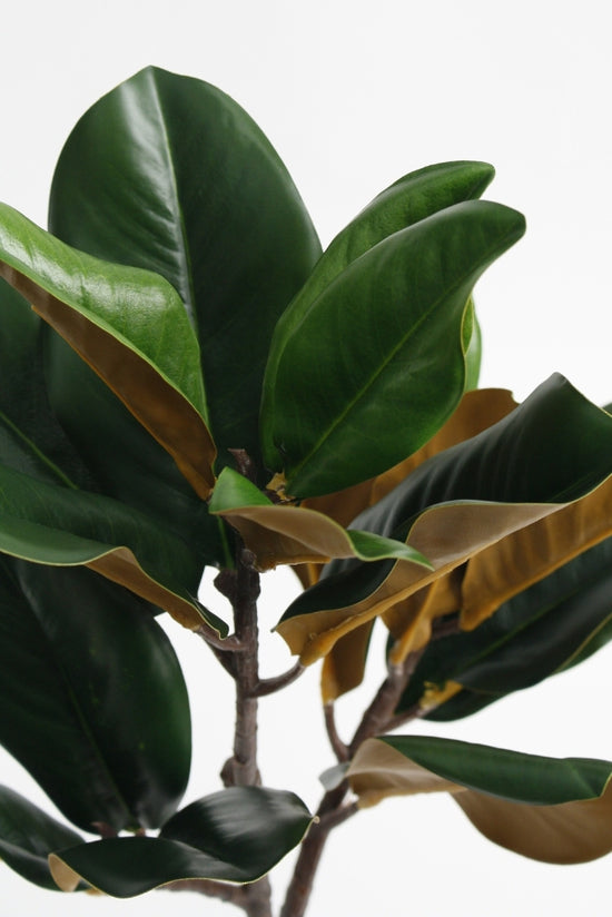 Close-up of glossy green faux magnolia leaves with bronze undersides