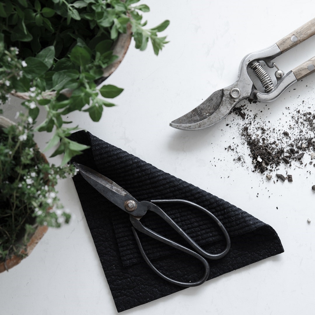 Black cloths beside kitchen scissors and crumbs on a bench