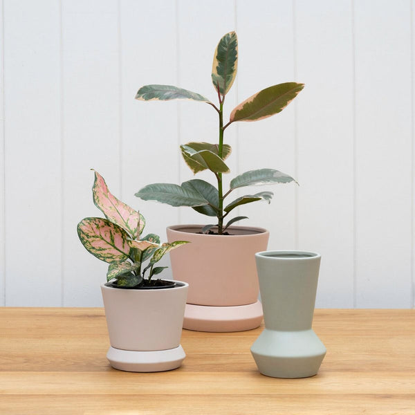 Hamburg Planter – Sage, Peach & Parchment Ceramic Pots (2 Sizes)