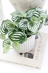Watermelon Peperomia Faux Potted Plant - 24cm