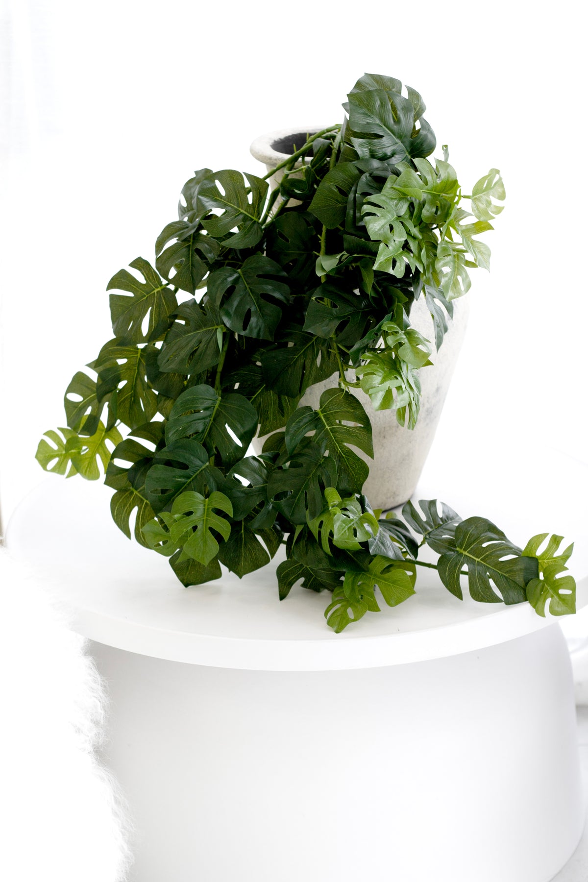 Real touch Split Philo hanging bush styled trailing from a shelf