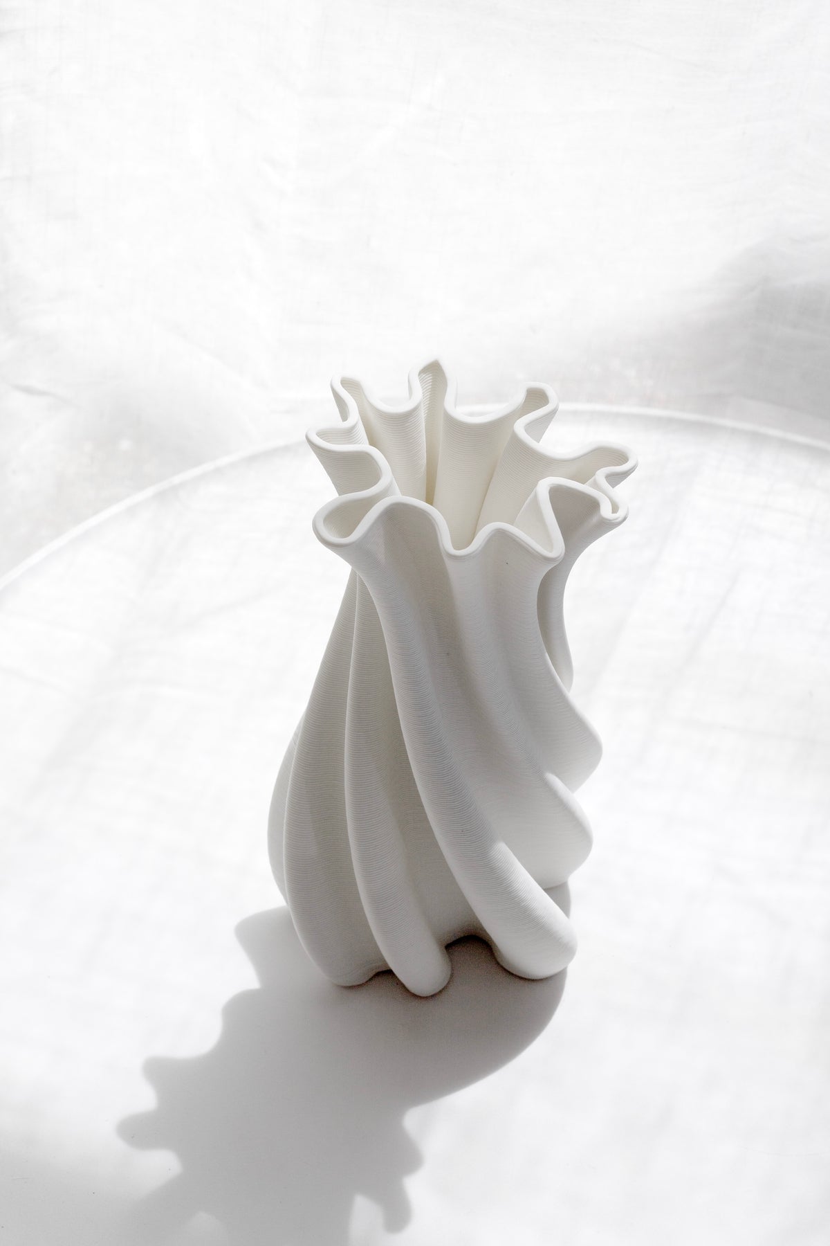 White Camila vase with a scalloped rim on a sunlit white table