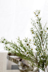 Wax Flower Spray 58cm Cream | Faux Stem