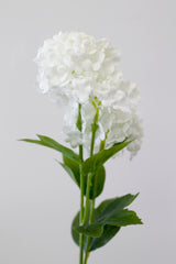 Viburnum Snowball - White flowers in a vase against a white background with greenery, by Artificial Flora.