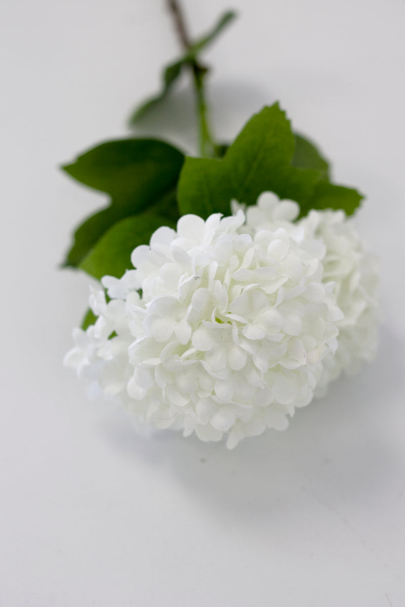 A collection of Viburnum Snowball - White flowers from Artificial Flora contrasted against a greenery background.