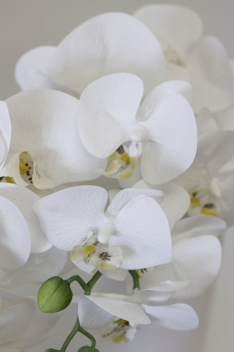 A close up of Real Touch Moth Orchid White by Artificial Flora in a vase, adding a touch of floral styling with no real greenery.