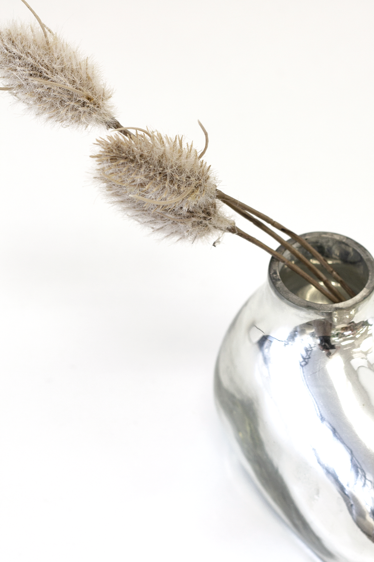 Faux bunny tails leaning from a chrome vase in a bright close-up