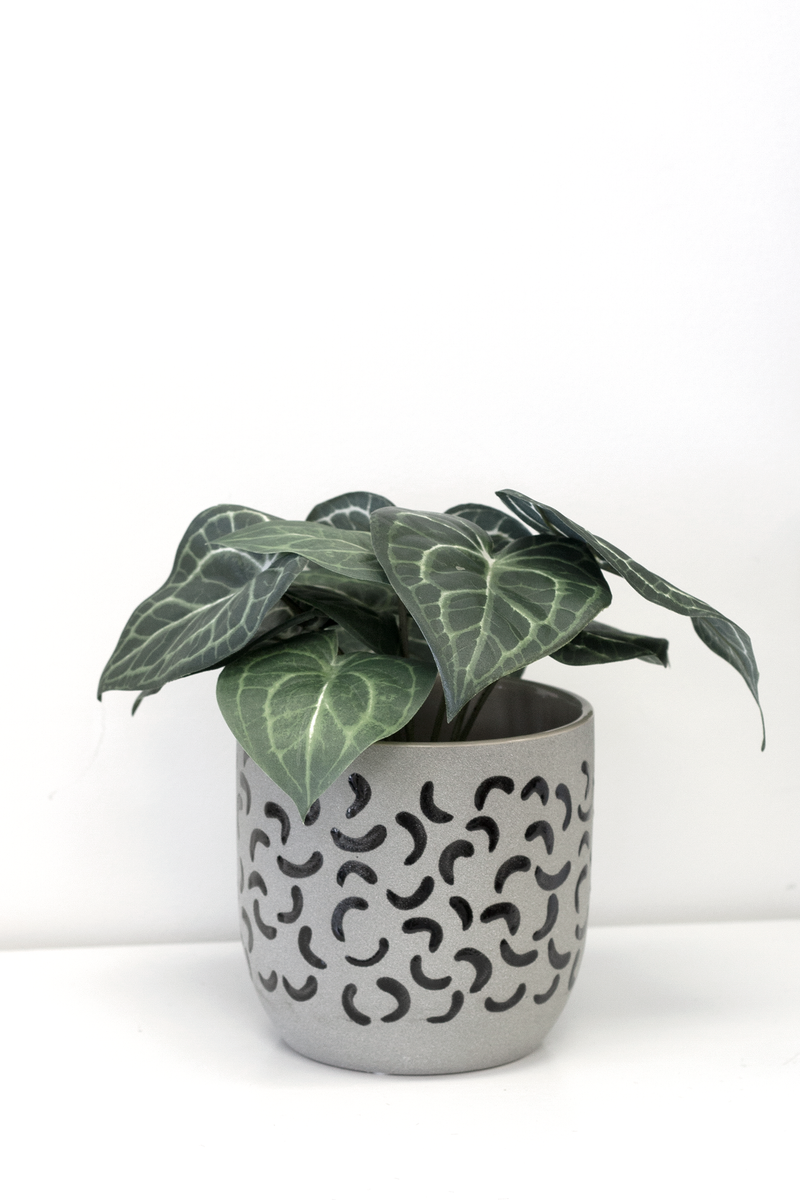 An Artificial Flora Turtle Alocasia Potted 24cm plant in a black pot on a white surface.