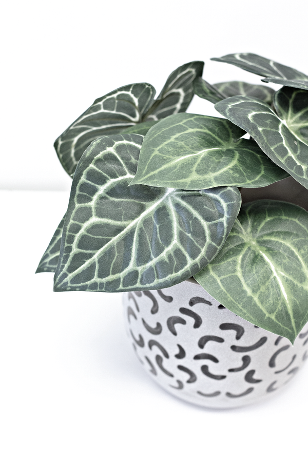 An artificial Turtle Alocasia Potted 24cm plant from Artificial Flora placed in a black pot on a white surface.