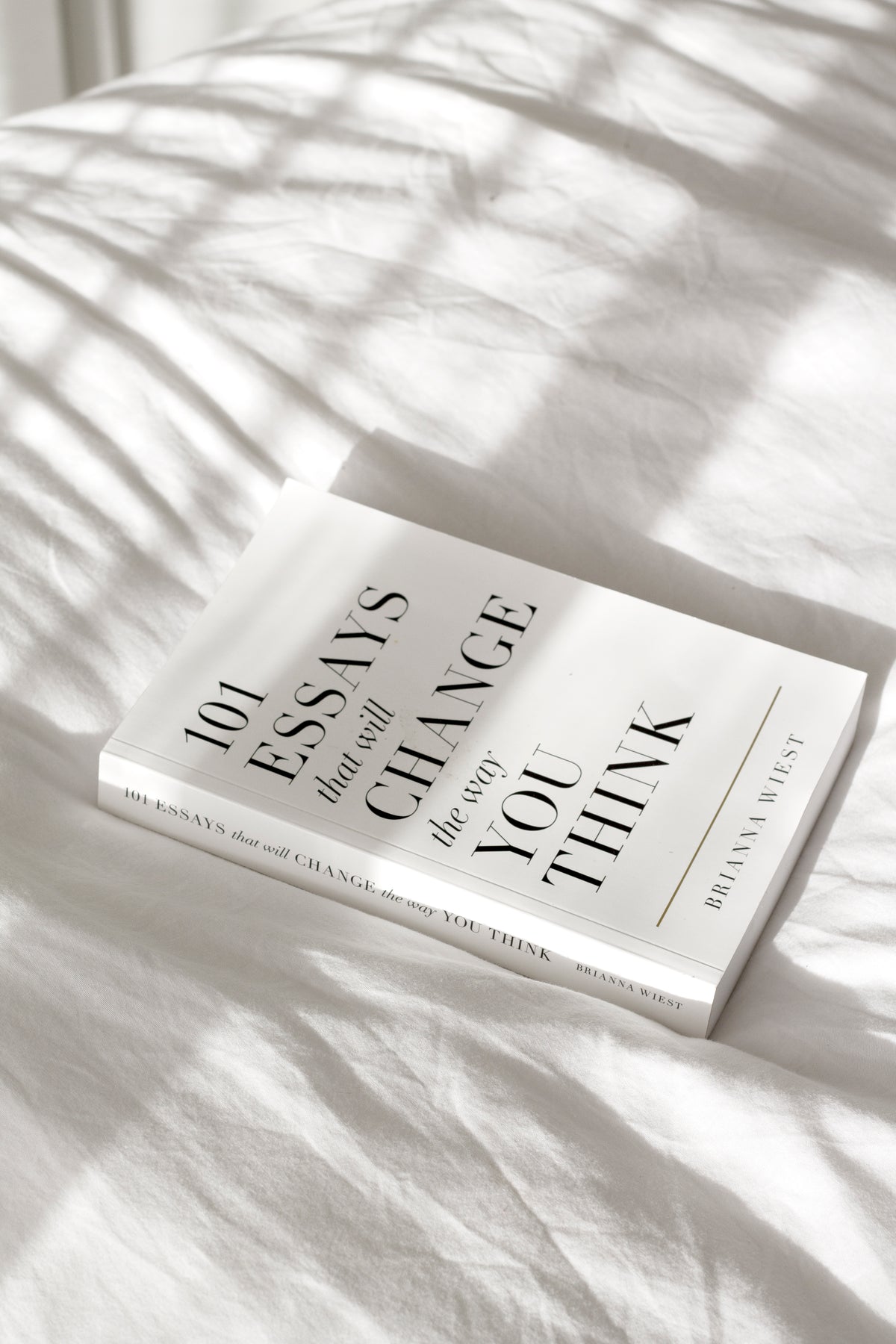 The 101 Essays paperback on rumpled white linen with palm frond shadows across it