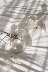 A Zakkia Bulb Vase Orb - Clear filled with leaves on a white bed, serving as a stunning statement piece.