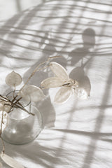 A Zakkia Bulb Vase Orb - Clear filled with white flowers on a white bed, featuring tactile finishes.