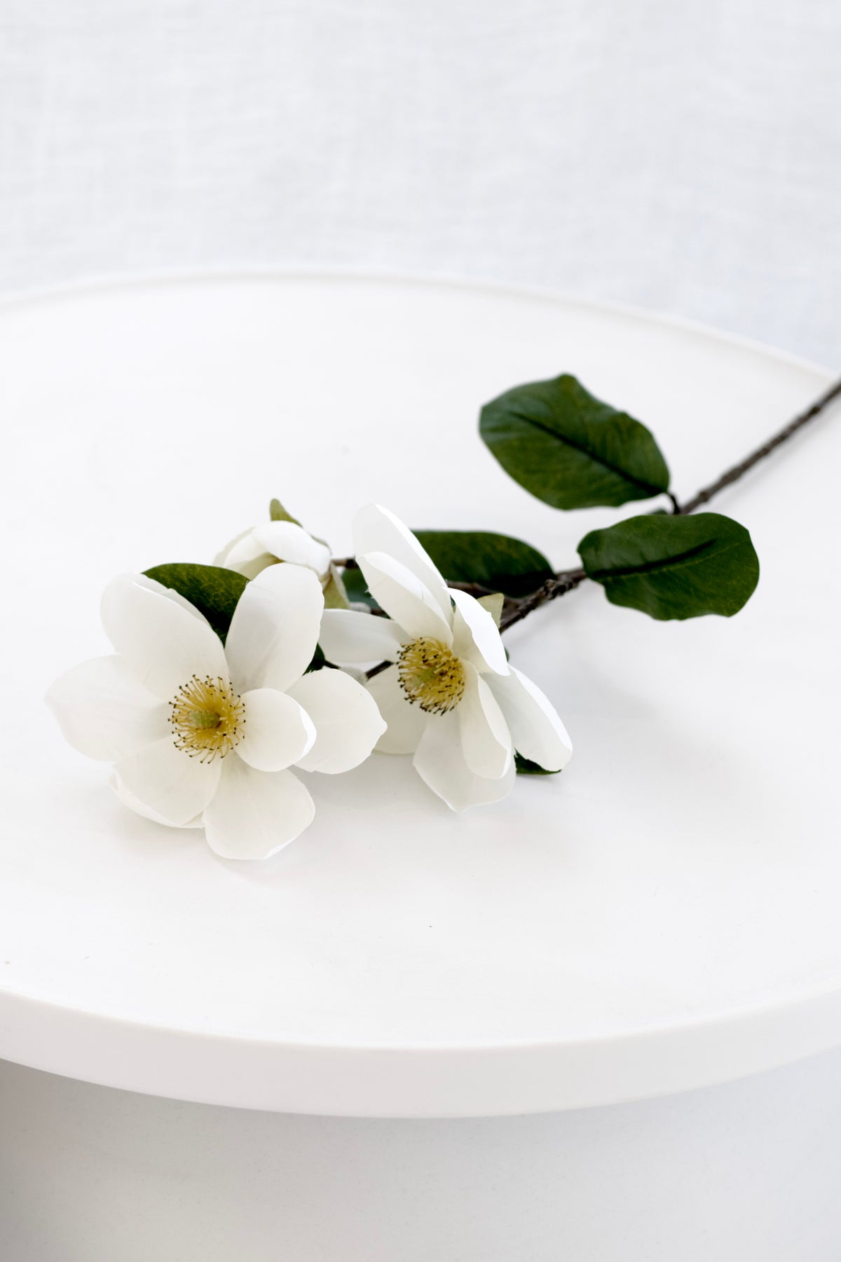 Legacy Magnolia Spray, Cream Faux Stem