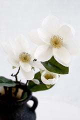 Legacy Magnolia Faux Spray Cream