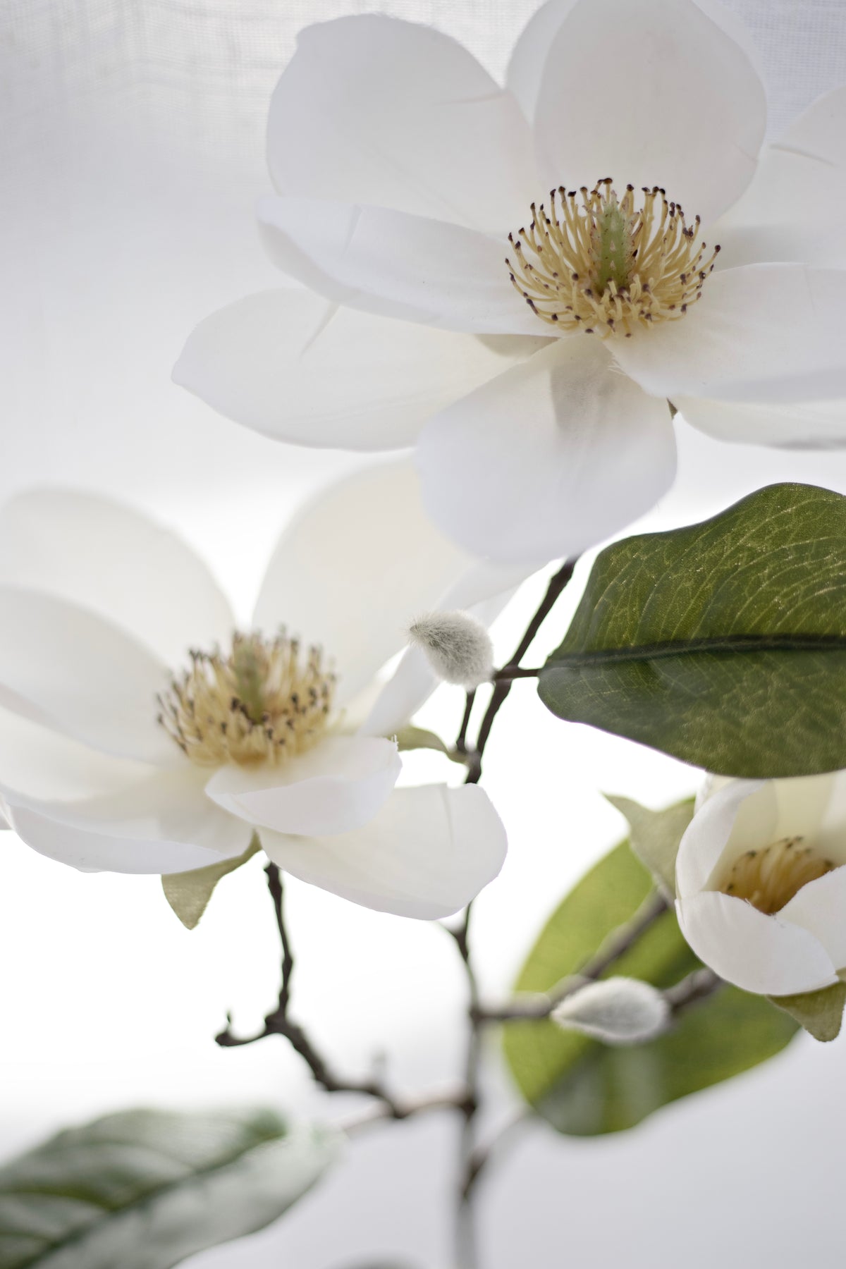 Legacy Magnolia Spray, Cream Faux Stem