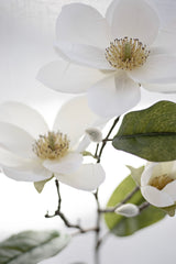 Legacy Magnolia Faux Spray Cream