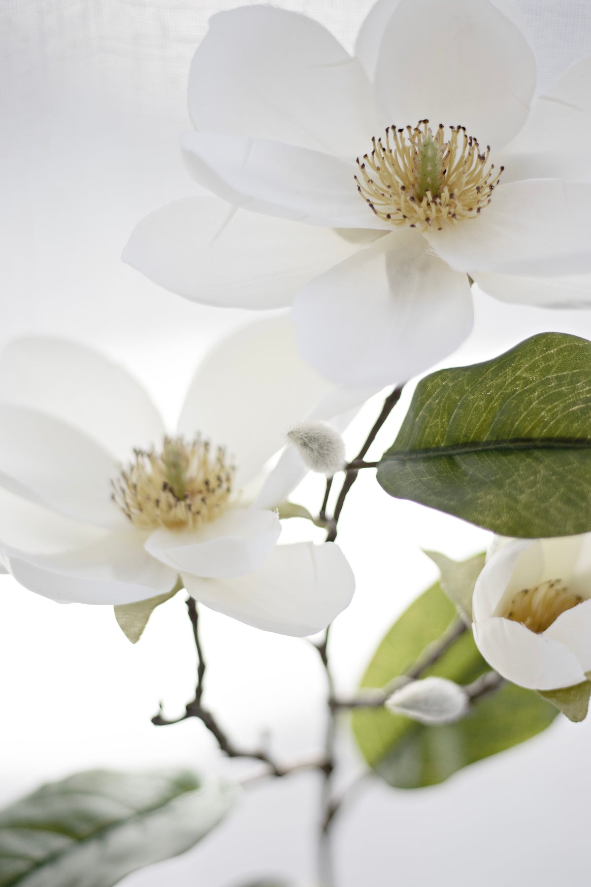 Legacy Magnolia Spray, Cream Faux Stem