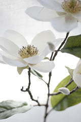 Legacy Magnolia Faux Spray Cream