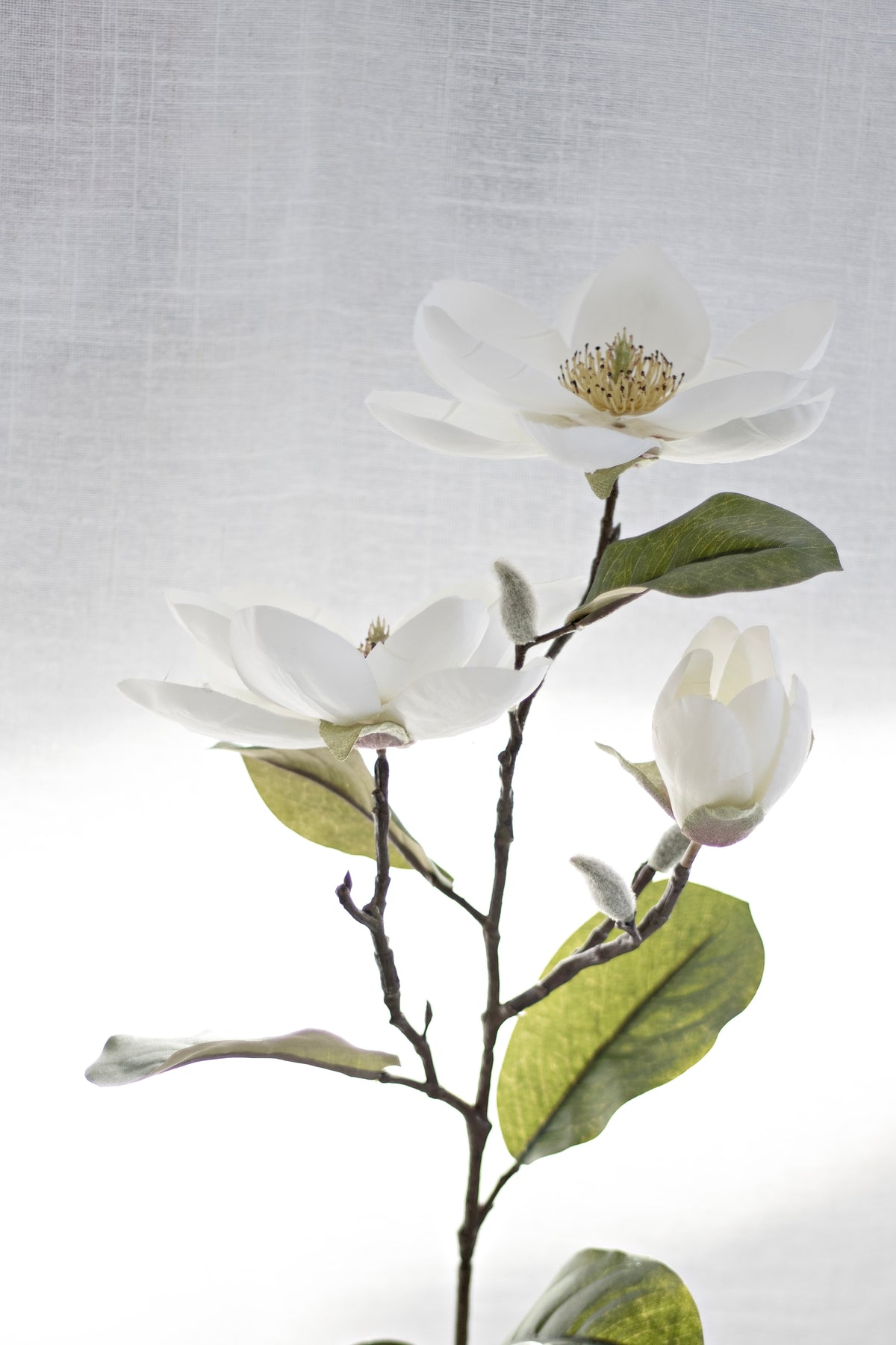 Legacy Magnolia Spray, Cream Faux Stem