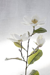 Legacy Magnolia Faux Spray Cream