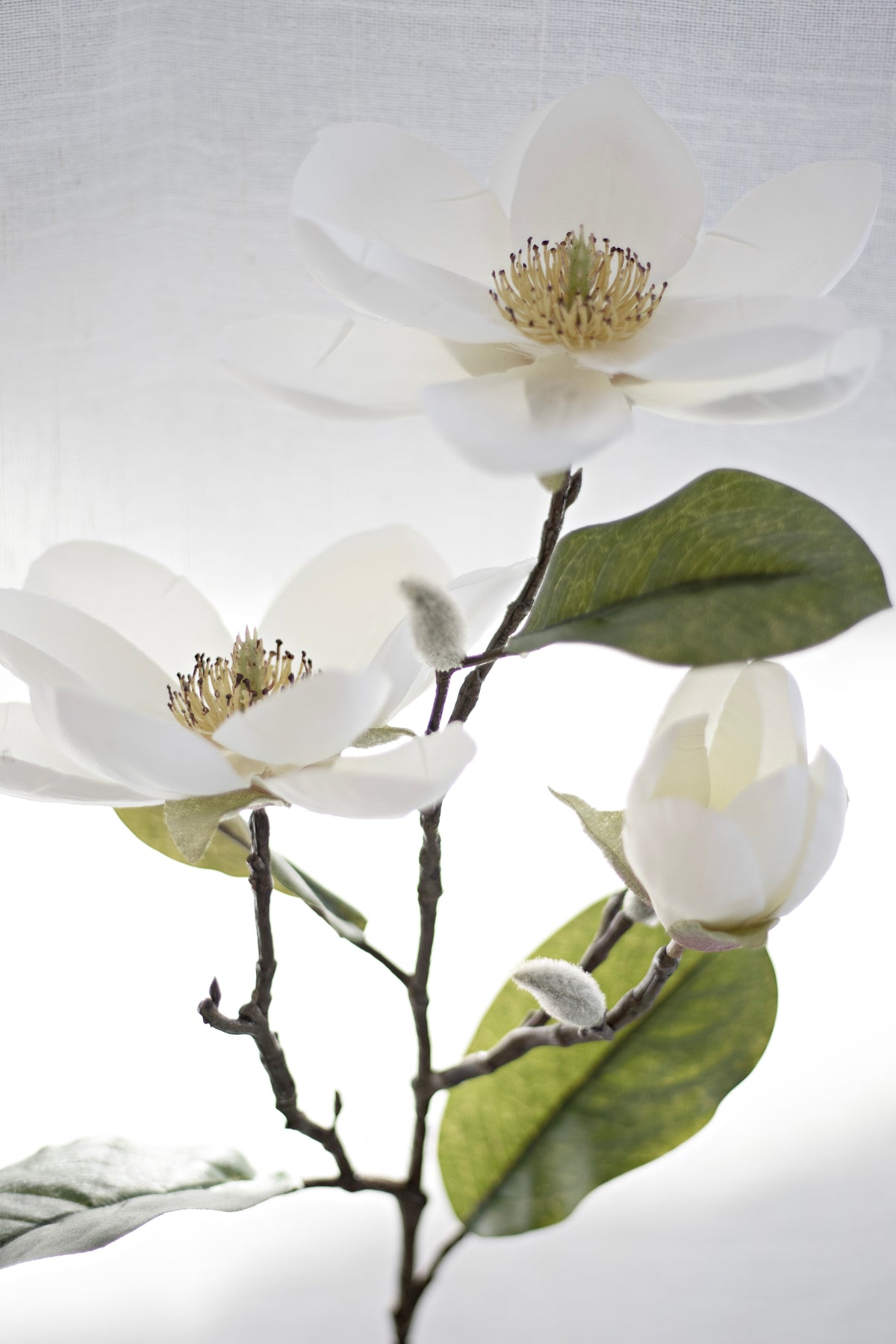 Legacy Magnolia Spray, Cream Faux Stem