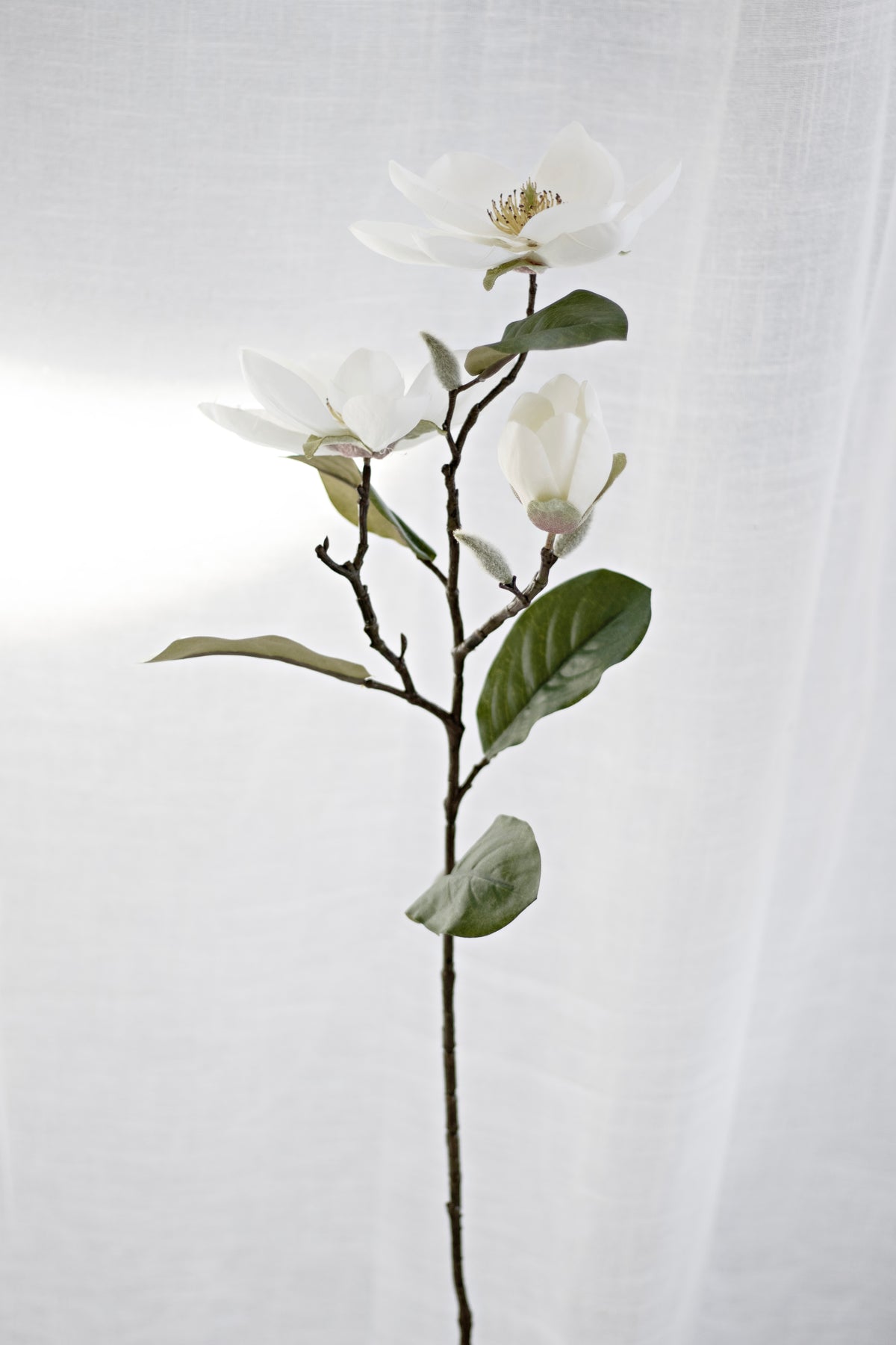 Legacy Magnolia Spray, Cream Faux Stem