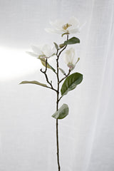 Legacy Magnolia Faux Spray Cream