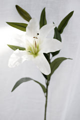 Rubrum Lily White Artificial Stem