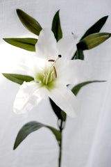 Rubrum Lily White Artificial Stem