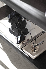 Black Phalaenopsis Orchid Stem