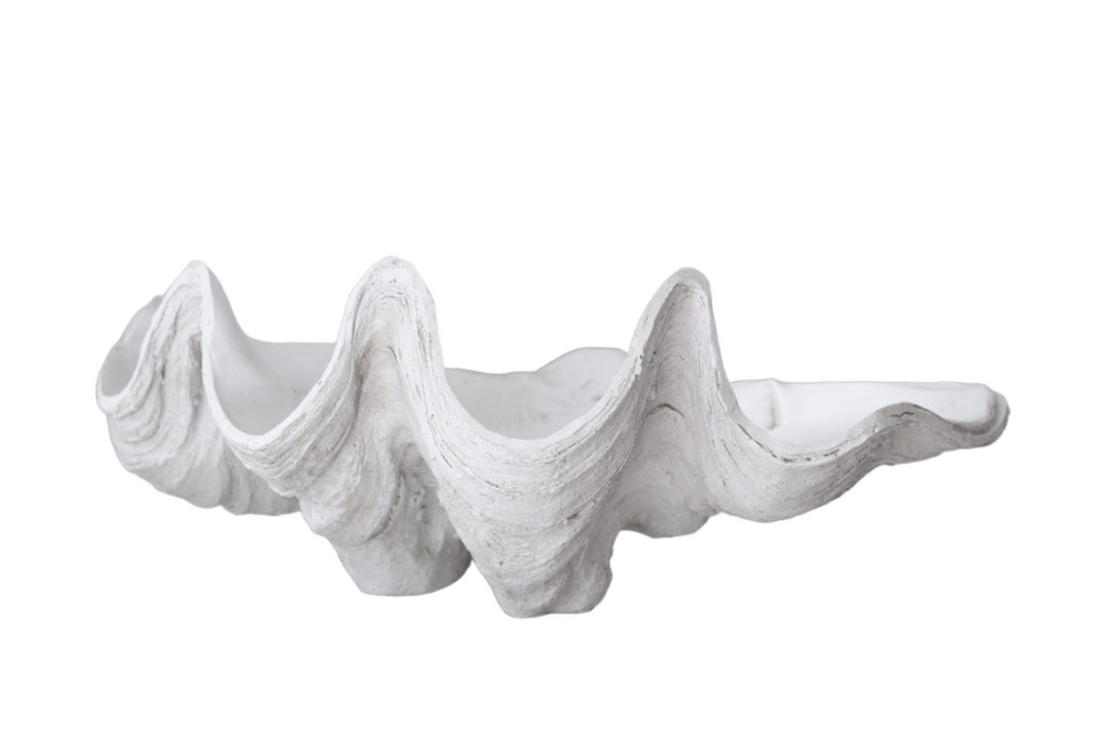 Large white clam shell bowl with a deeply scalloped rim, shown side on against white