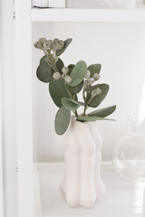 Mini Eucalyptus Pod Spray 40cm