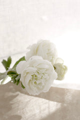 White Ranunculus Stem, Faux Persian Buttercup